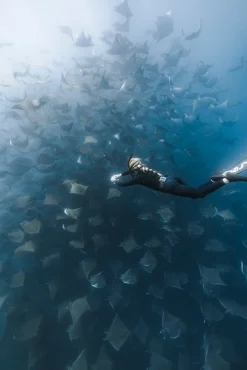 Clark Full Wetsuit – Black 3/3mm